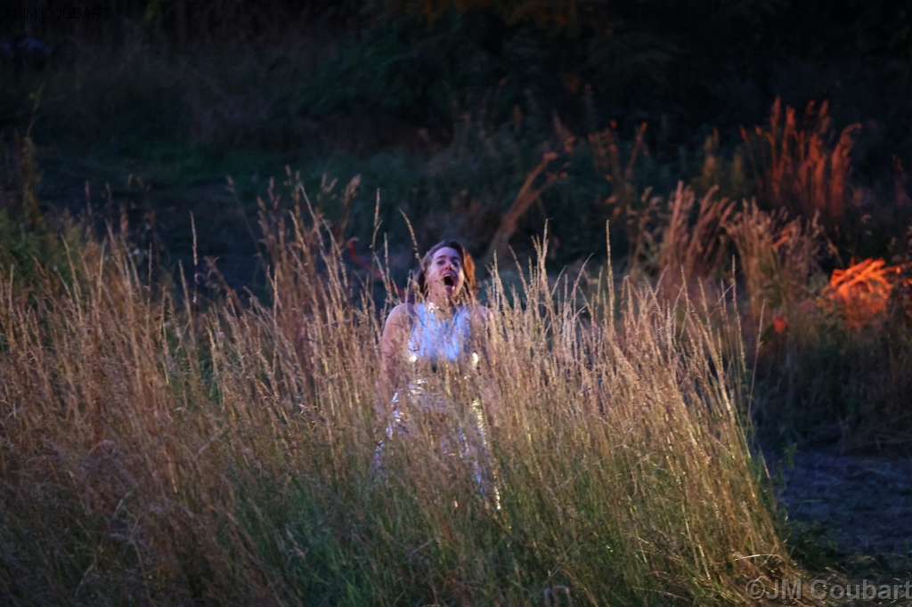 Diapositive suivante